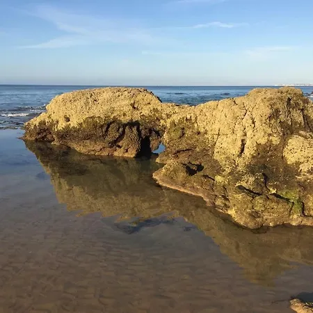 Panoramic In Portimao: Ocean View, Wifi Apartament *